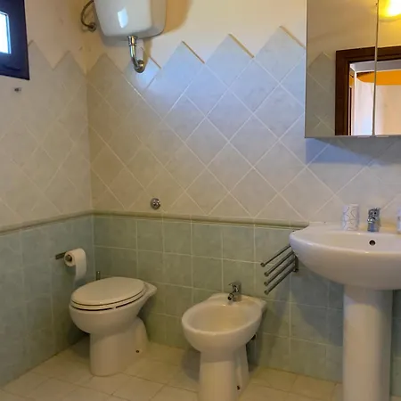 Little Sparrow * Santa Maria