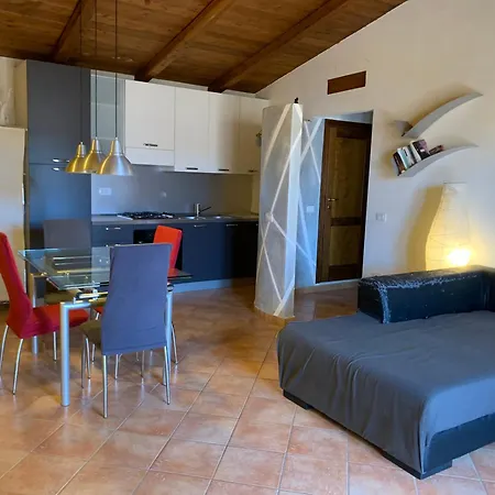 Little Sparrow * Santa Maria